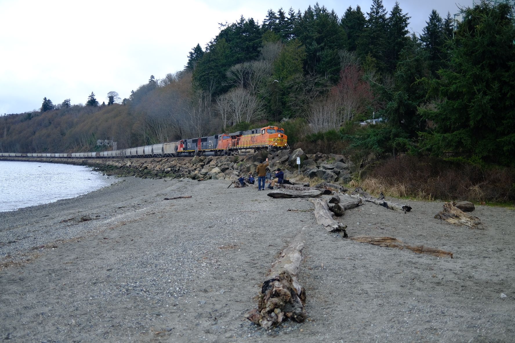 BNSF at Carkeek Park.