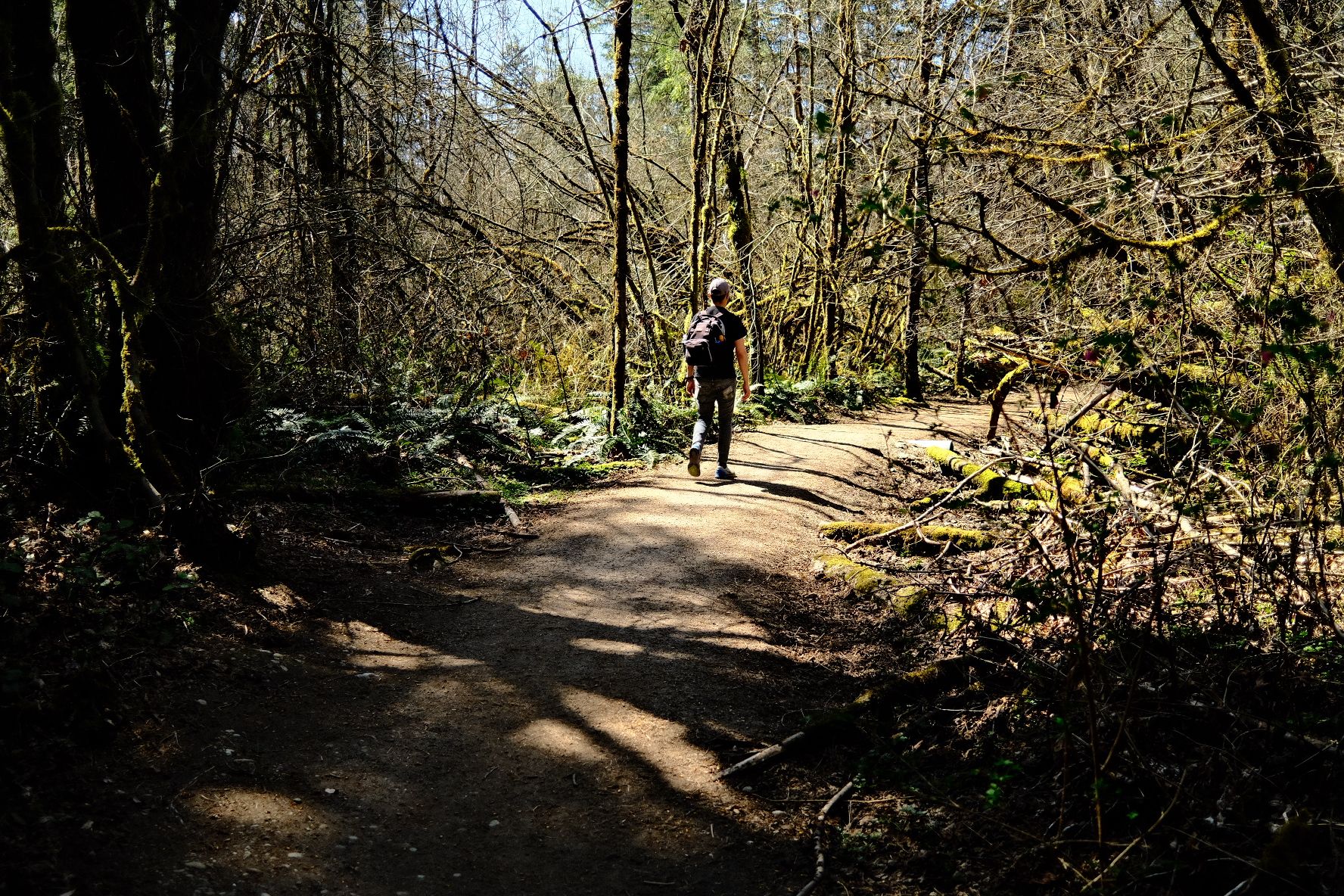 Hiking Paradise Valley Conservation Area