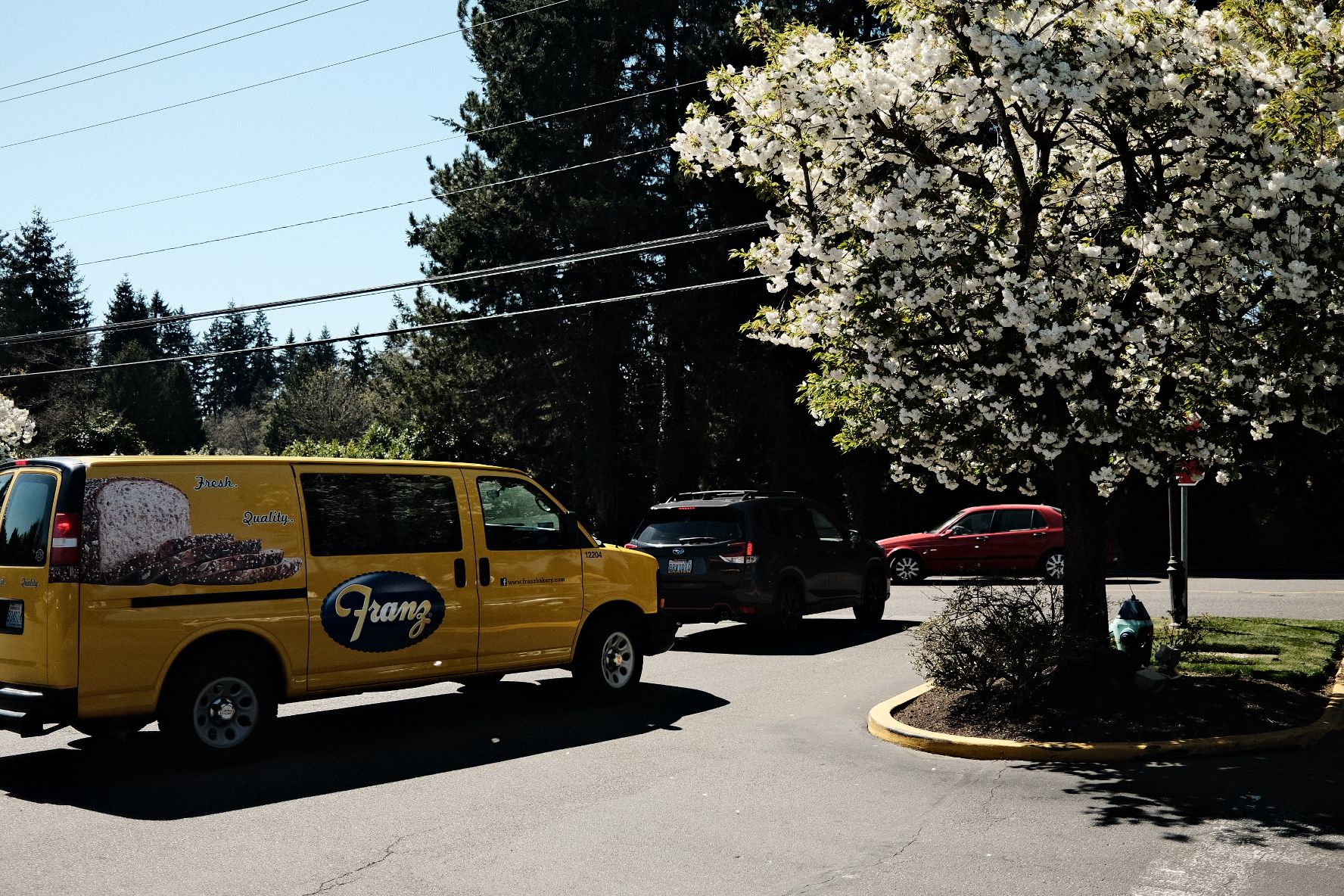 Bread truck and blossoms